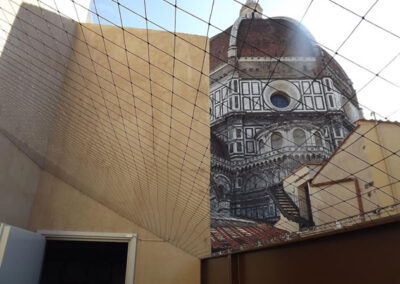 allontanamento-volatili-3