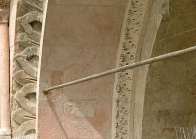 allontanamento-volatili-10