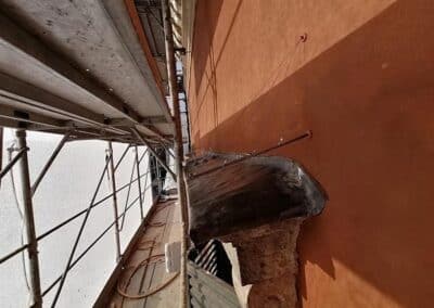 allontanamento-volatili-11