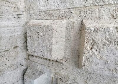 allontanamento-volatili-13