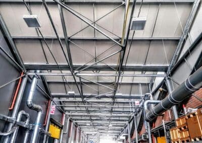 allontanamento-volatili-14