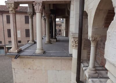 allontanamento-volatili-8