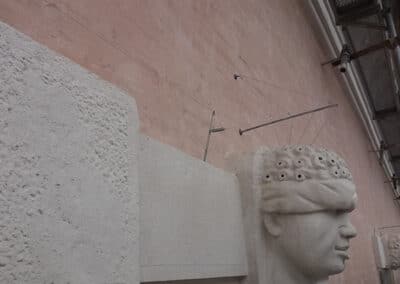 allontanamento-volatili-9